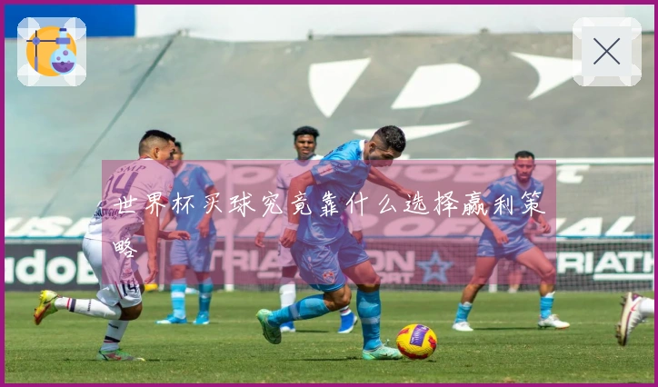 世界杯买球究竟靠什么选择赢利策略