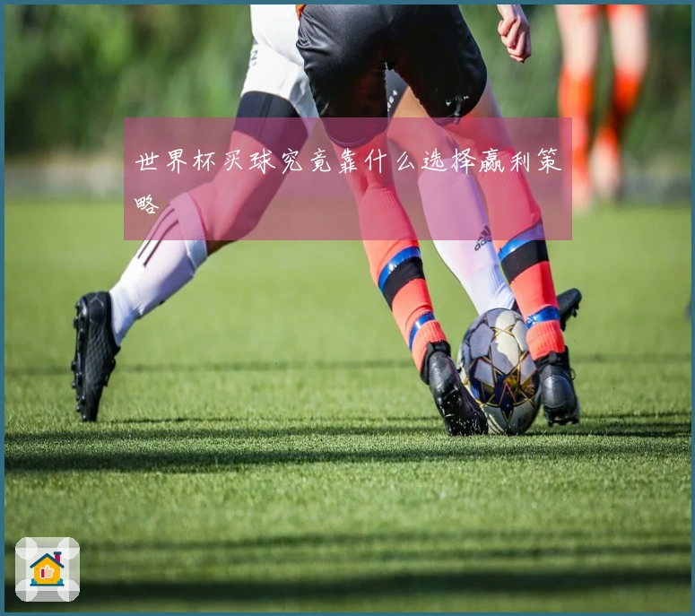 世界杯买球究竟靠什么选择赢利策略