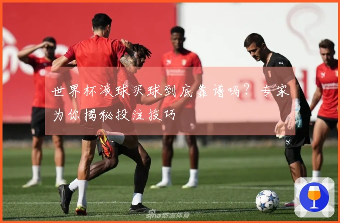 世界杯滚球买球到底靠谱吗？专家为你揭秘投注技巧