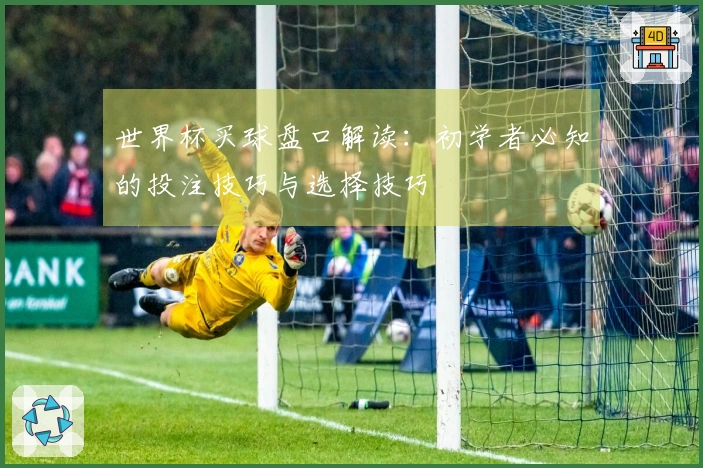 世界杯买球盘口解读：初学者必知的投注技巧与选择技巧