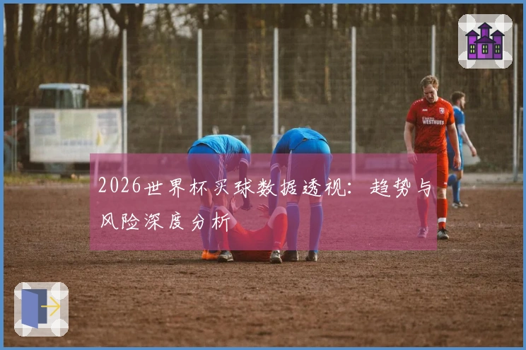 2026世界杯买球数据透视：趋势与风险深度分析