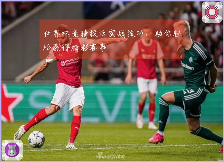 世界杯竞猜投注实战技巧，助你轻松赢得精彩赛事
