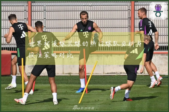 世界杯滚球买球的热门球队分析与投注策略对比