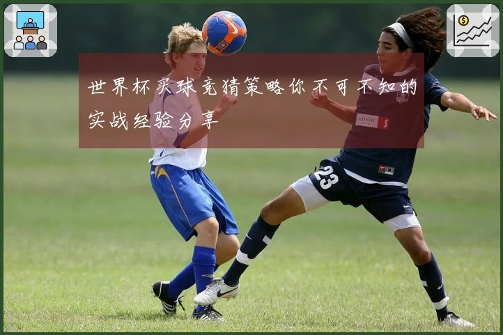世界杯买球竞猜策略你不可不知的实战经验分享