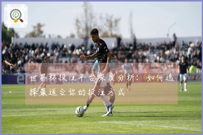 世界杯投注平台深度分析：如何选择最适合你的投注方式