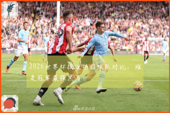 2026世界杯投注热门球队对比，谁是冠军最强黑马