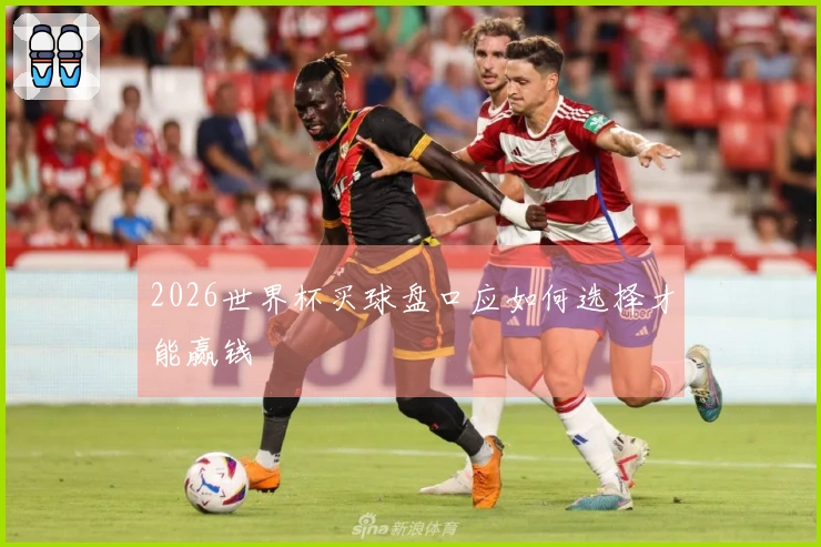 2026世界杯买球盘口应如何选择才能赢钱