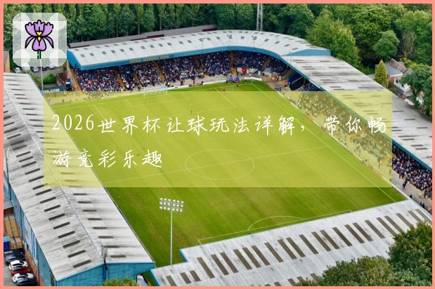 2026世界杯让球玩法详解，带你畅游竞彩乐趣
