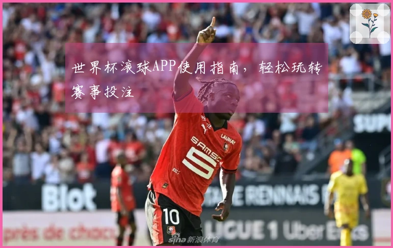 世界杯滚球APP使用指南，轻松玩转赛事投注