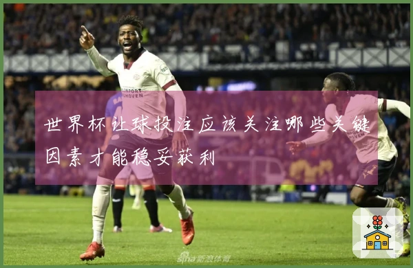 世界杯让球投注应该关注哪些关键因素才能稳妥获利